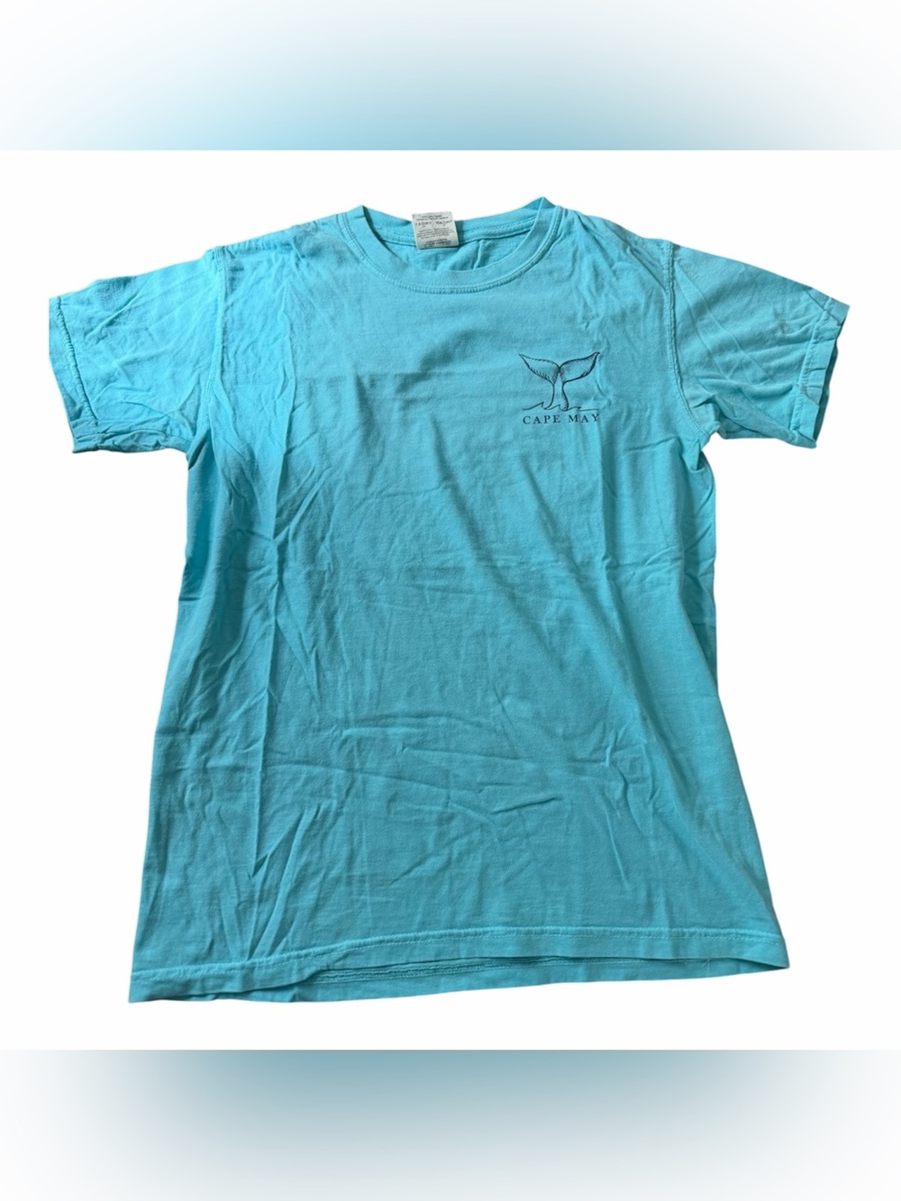 Comfort Colors Unisex Cape May Whale Graphic Blue Crew Neck T- Shirt Size S